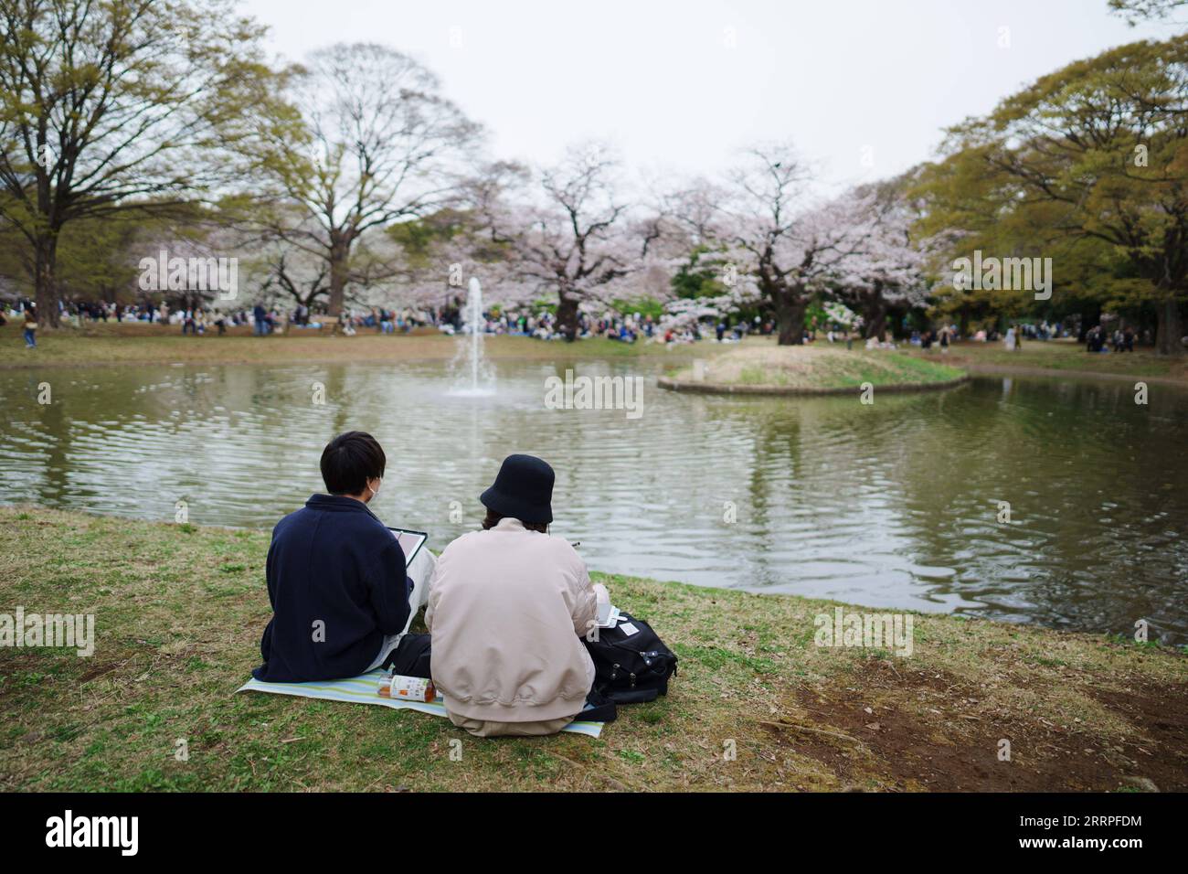 230321 -- TOKIO, 21. März 2023 -- Besucher genießen Freizeit am Tag der Frühlingstagnachtgleiche im Yoyogi Park in Tokio, Japan, 21. März 2023. JAPAN-TOKIO-FRÜHLING EQUINOX-FREIZEIT ZhangxXiaoyu PUBLICATIONxNOTxINxCHN Stockfoto