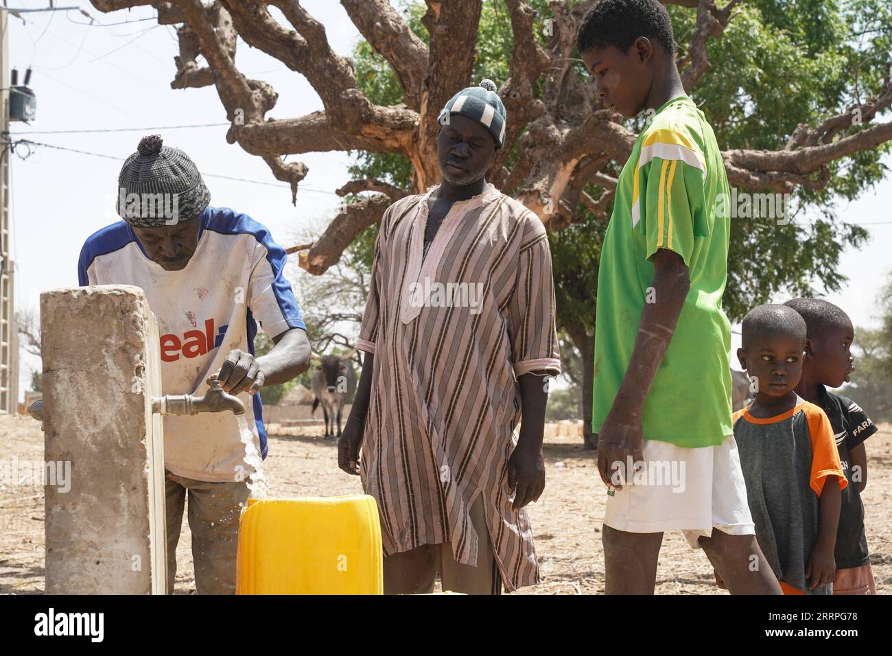 230323 -- DAKAR, 23. März 2023 -- Dorfbewohner sammeln Wasser in Tenefoul Toucouleur Village, Diourbel, Senegal, 20. März 2023. Mamadou Dieng, 40, ein Mitarbeiter der chinesischen Baufirma CGCOC Group Senegal Branch, war für die Aufrechterhaltung eines von Chinesen unterstützten Wells im Tenefoul Toucouleur Village verantwortlich. Die Überprüfung der Maschinenfunktionen und das Befüllen des Motors mit Diesel mag Diengs Arbeit einfach und mühsam erscheinen, bedeutet aber für die Einheimischen viel. Tenefoul Toucouleur Village war einst ein Ort, an dem es an Wasser mangelte. Dieng zufolge gingen die Bewohner dort 1,5 Kilometer Stockfoto