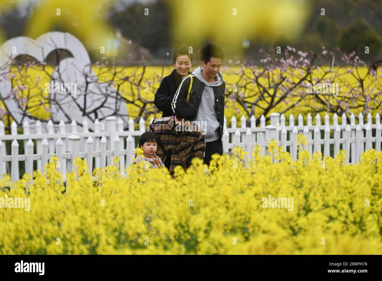 230325 -- HUZHOU, 25. März 2023 -- Menschen genießen ihre Zeit in einem Rapsblütenfeld an einem Öko-Tourismus-malerischen Ort in der Stadt Balidian, Stadt Huzhou, ostchinesische Provinz Zhejiang, 25. März 2023. CHINA-ZHEJIANG-HUZHOU-ECO-TOURISM CN HUANGXZONGZHI PUBLICATIONXNOTXINXCHN Stockfoto