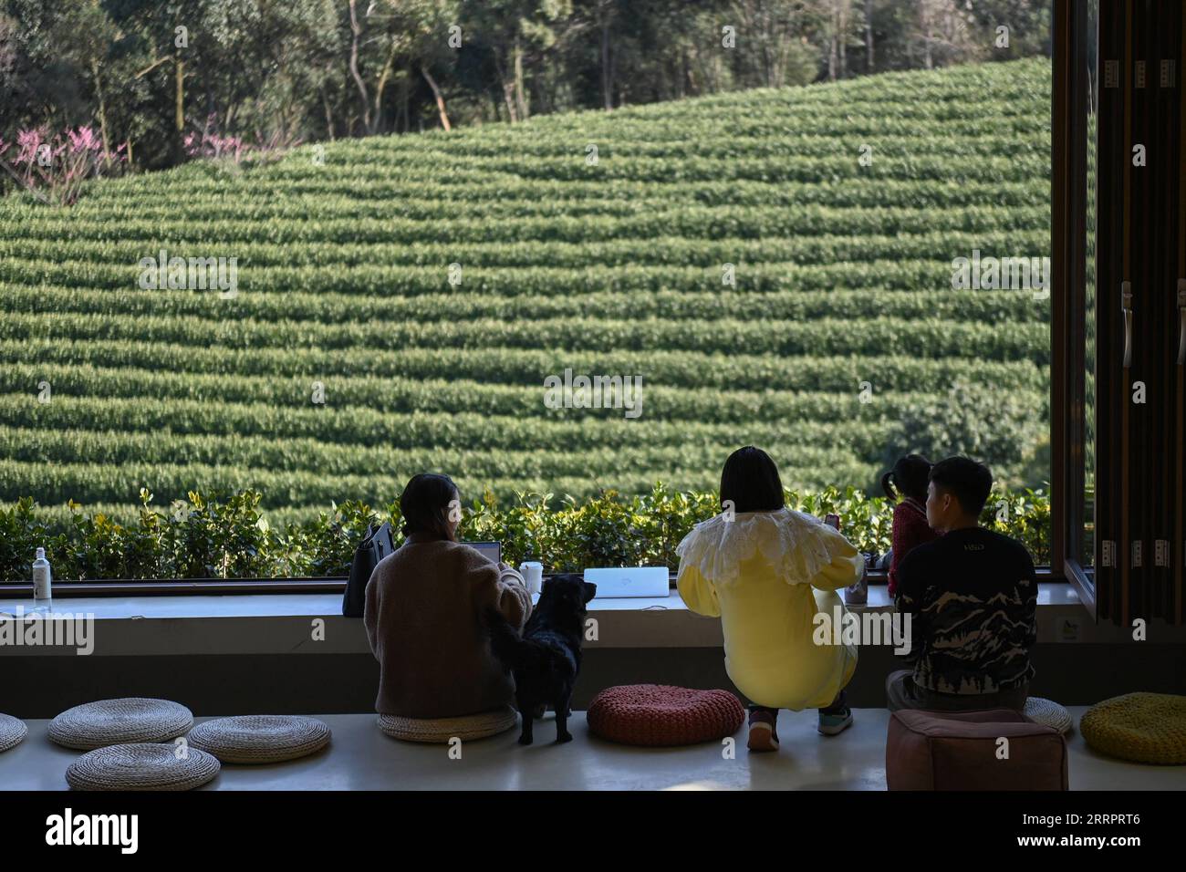 230409 -- HANGZHOU, 9. April 2023 -- Touristen genießen ihre Zeit in einem Café neben einem Teegarten im Dorf Huangdu in der Stadt Huzhou, ostchinesische Provinz Zhejiang, 21. Februar 2023. Im Juni 2003 startete die Provinz Zhejiang das Projekt Thousand Villages Demonstration und zehntausend Dorfrenovierung mit dem Ziel, zehntausend Verwaltungsdörfer in der Provinz umfassend zu renovieren und tausend Schlüsseldörfer in allumfassende, gut ausgestattete Modelldörfer zu bauen. Seit zwanzig Jahren hat das Projekt Tausende von schönen Dörfern geschaffen und das Gesicht des Prov grundlegend verändert Stockfoto