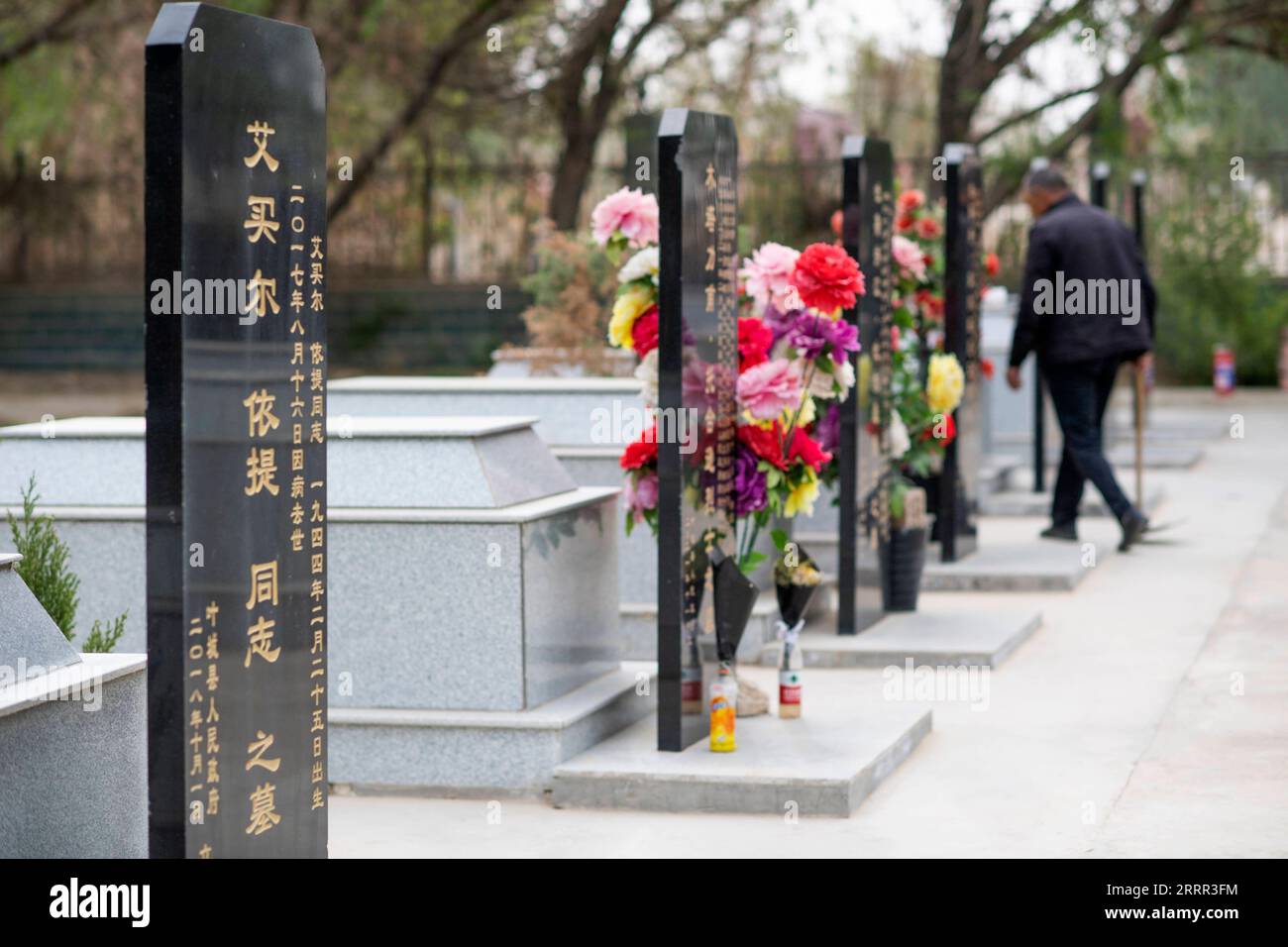 230430 -- YECHENG, 30. April 2023 -- Eniwar Emer kontrolliert das Wachstum von Baumsämlingen auf dem Yecheng Märtyrerfriedhof in Yecheng, Nordwestchinas autonome Region Xinjiang Uygur, 16. April 2023. Jedes Jahr im April blühen Blumen auf dem Yecheng Martyrs Cemetery in der autonomen Region Xinjiang Uygur im Nordwesten Chinas, wo 233 Märtyrer begraben wurden. Ich werde mich gut um den Friedhof kümmern, sagte der 53-jährige Eniwar Emer vor dem Grabstein seines Vaters. Eniwar ist ein Hüter der zweiten Generation für den Yecheng Martyrs Cemetery und folgt den Spuren seines Vaters Emer YIT, der dort die Gräber gepflegt hatte Stockfoto