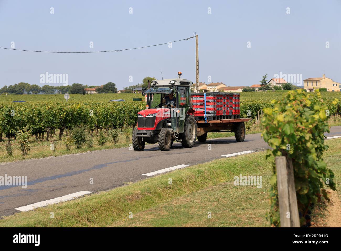 Pomerol. In den Weinbergen und Weinbergen von Pommern. Herstellung von Rotwein. Wein und Weinberg von Bordeaux-Weinen. Pomerol, Gironde, Frankreich, Europa. Stockfoto