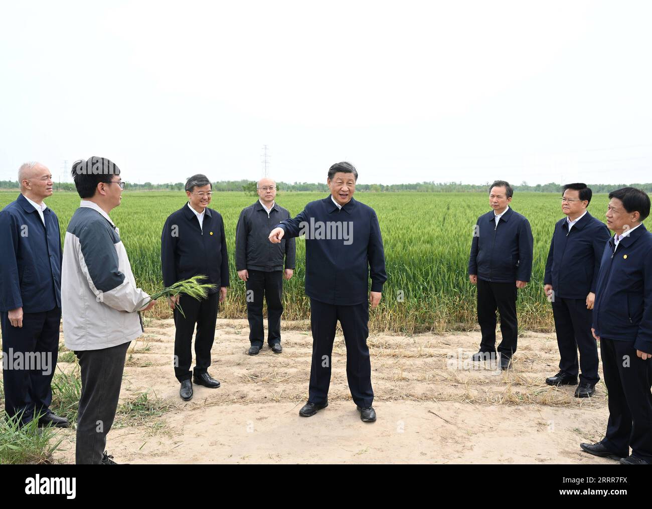 230511 -- CANGZHOU, 11. Mai 2023 -- der chinesische Präsident Xi Jinping, ebenfalls Generalsekretär des Zentralkomitees der Kommunistischen Partei Chinas und Vorsitzender der Zentralen Militärkommission, erfährt vom Anbau von Getreide, das gegenüber Dürre und Alkalinität tolerant ist, in einem Weizenfeld in Cangzhou, Provinz Hebei, im Norden Chinas, am 11. Mai 2023. XI besuchte am Donnerstag die Stadt Cangzhou in der nordchinesischen Provinz Hebei. CHINA-HEBEI-CANGZHOU-XI JINPING-INSPECTION CN LIXXUEREN PUBLICATIONXNOTXINXCHN Stockfoto