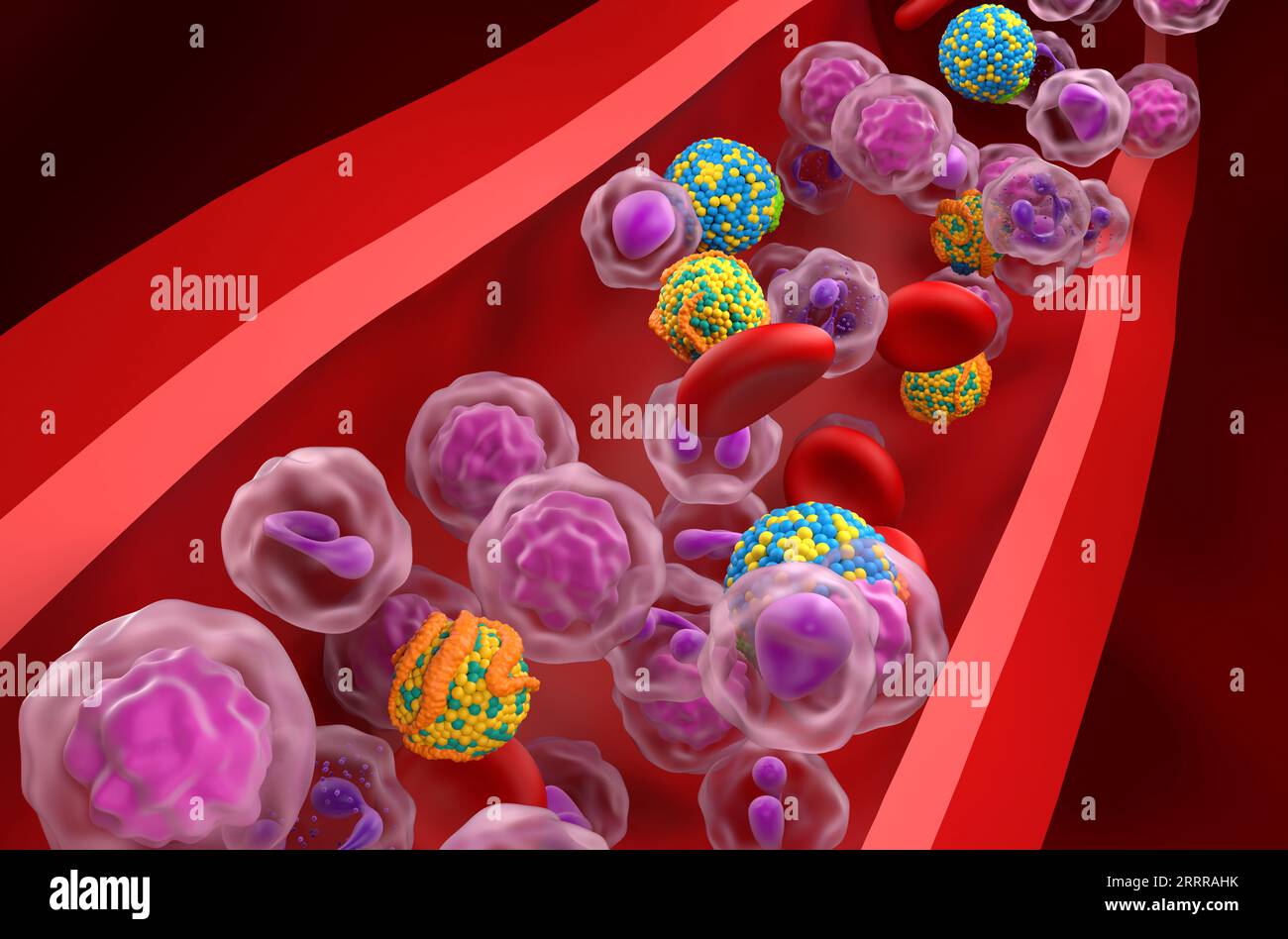 HDL (gut) und LDL (schlecht) Lipoprotein (Cholesterin) im Blutfluss - Nahaufnahme 3D-Abbildung Stockfoto