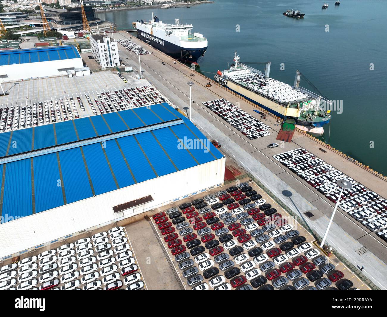 LIANYUNGANG, CHINA - 9. SEPTEMBER 2023 - Ozeanrollräder laden Exportfahrzeuge im Hafen von Lianyungang, Provinz Jiangsu, 9. September 2023. Es ist u Stockfoto