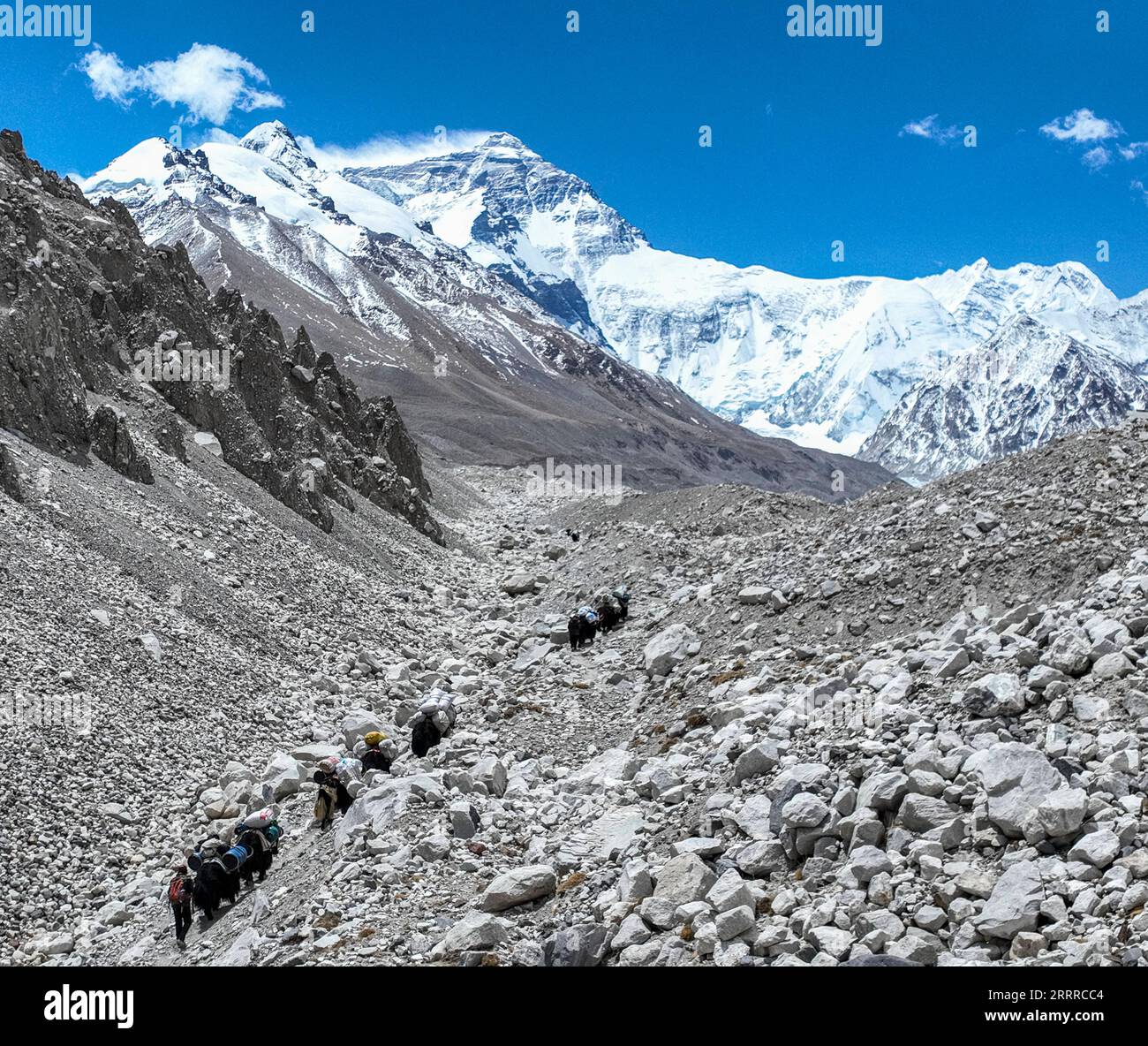 230522 -- LHASA, 22. Mai 2023 -- dieses Luftbild vom 18. Mai 2023 zeigt eine Yakkarawane, die in 6.500 Meter Höhe auf dem Berg Qomolangma in der autonomen Region Tibet im Südwesten Chinas zum Vormarschlager fährt. Aufgrund der komplizierten natürlichen Bedingungen des höchsten Gipfels der Welt, des Mount Qomolangma, ist die Yak-Beförderung zu einem unverzichtbaren Transportmittel für Güter und Materialien für wissenschaftliche Expeditionen zum Mt. Qomolangma. Hirten leben in der Township Zhaxizom im Tingri County, der nächstgelegenen Verwaltungstownship in China zum Mt. Qomolangma hat Yak-Dienste für Bergsteiger bereitgestellt Stockfoto