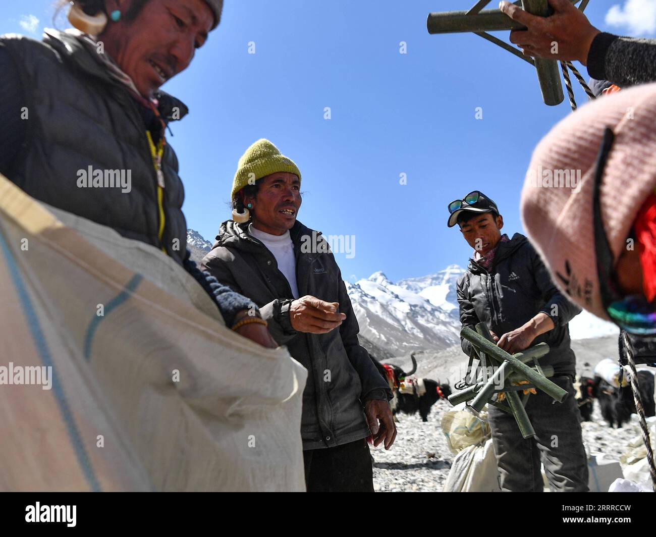 230522 -- LHASA, 22. Mai 2023 -- Hirten verpacken die Güter für die Yakförderung im Mount Qomolangma Basislager in der südwestchinesischen autonomen Region Tibet, 18. Mai 2023. Aufgrund der komplizierten natürlichen Bedingungen des höchsten Gipfels der Welt, des Mount Qomolangma, ist die Yak-Beförderung zu einem unverzichtbaren Transportmittel für Güter und Materialien für wissenschaftliche Expeditionen zum Mt. Qomolangma. Hirten leben in der Township Zhaxizom im Tingri County, der nächstgelegenen Verwaltungstownship in China zum Mt. Qomolangma, hat Yak-Dienste für Bergsteiger als Reaktion auf die Nachfrage bereitgestellt. Die Hirtenarbeit von Yak Co Stockfoto