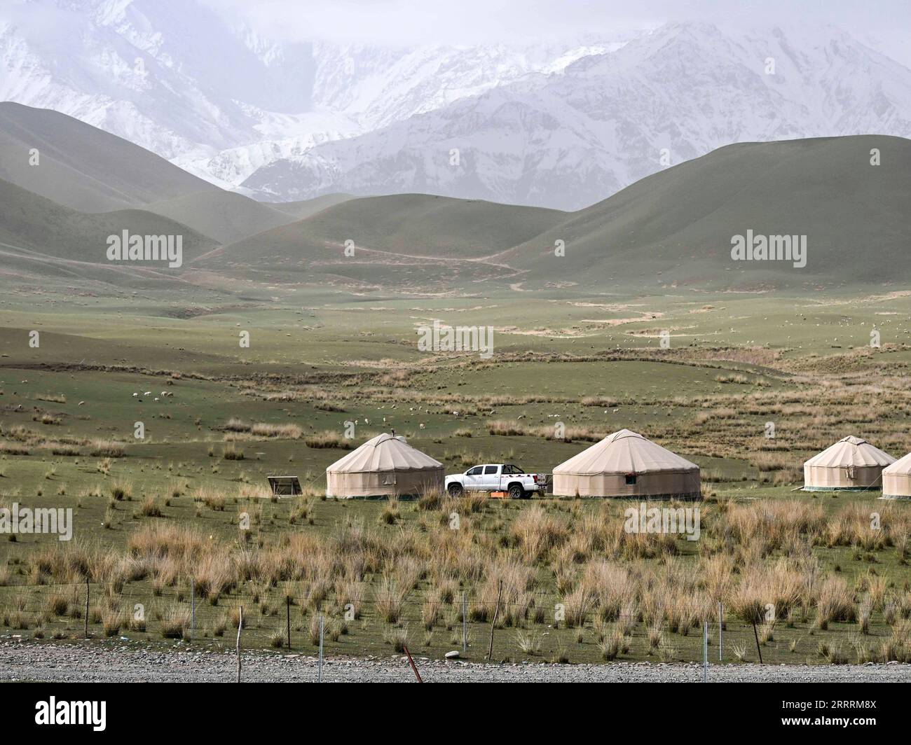 230602 -- ÜRÜMQI, 2. Juni 2023 -- dieses Foto, das am 31. Mai 2023 aufgenommen wurde, zeigt eine Almweide im Gebiet der Kunlun-Berge im Qira County der Präfektur Hotan im Nordwesten Chinas Xinjiang Uygur Autonomous Region. Nach einer umfassenden Berechnung über eine Big-Data-Plattform für Tourismusstatistiken und Stichprobenerhebungen erhielt Xinjiang von Januar bis April 2023 über 51,19 Millionen Touristen, was einem Anstieg von 29,56% gegenüber dem Vorjahr entspricht. In der Zwischenzeit erreichte der Tourismusumsatz 42,64 Milliarden Yuan, etwa 6,03 Milliarden US-Dollar, was einem Anstieg von 60,59% gegenüber dem Vorjahr entspricht. CHINA-XINJIANG-TOURISMUS CN HuxHuhu PUBLICATIONxNOTxINxCHN Stockfoto