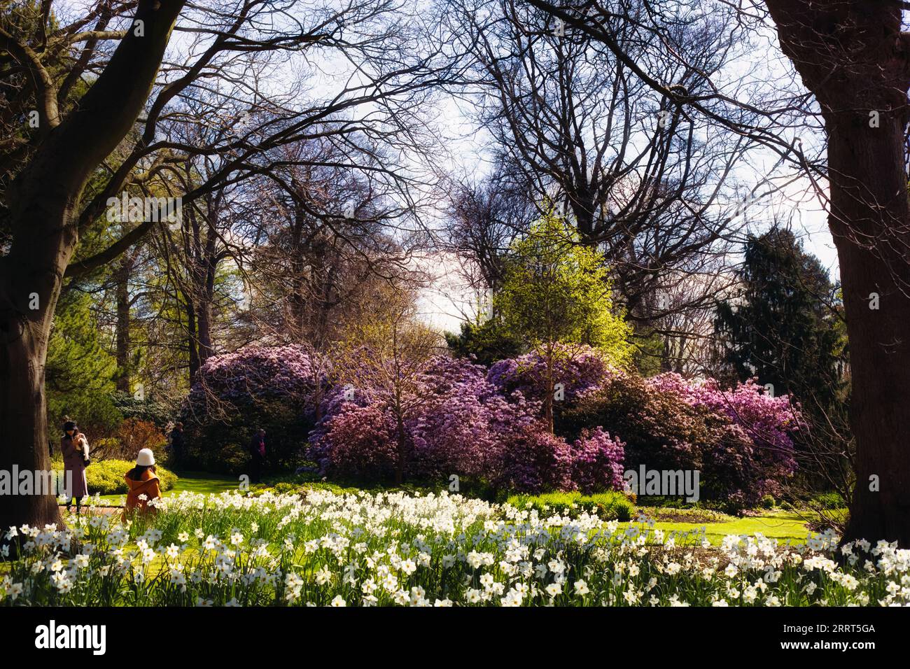 Kaleidoskop der Natur: Leuchtende Farben im Royal Botanic Garden, Edinburgh Stockfoto