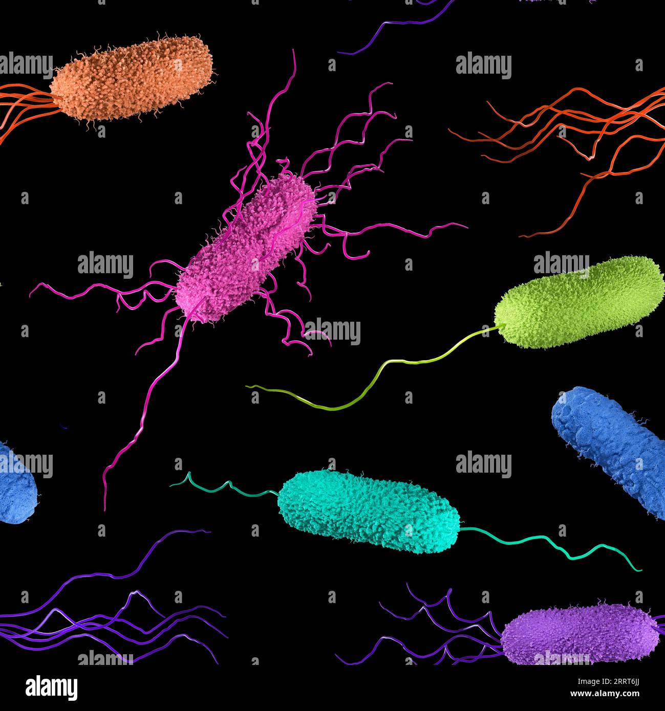 Bakterien, Abbildung Stockfoto