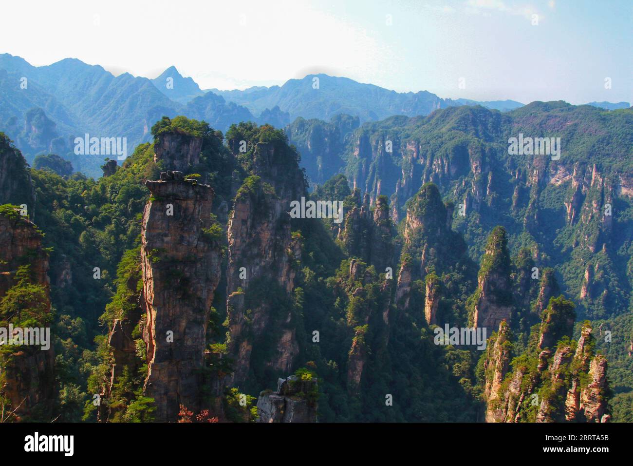 Halten Sie die atemberaubende Essenz von Chinas berühmten scharfen, hoch aufragenden Bergen fest, die an die beeindruckenden Landschaften aus dem Avatar-Film erinnern. Stockfoto