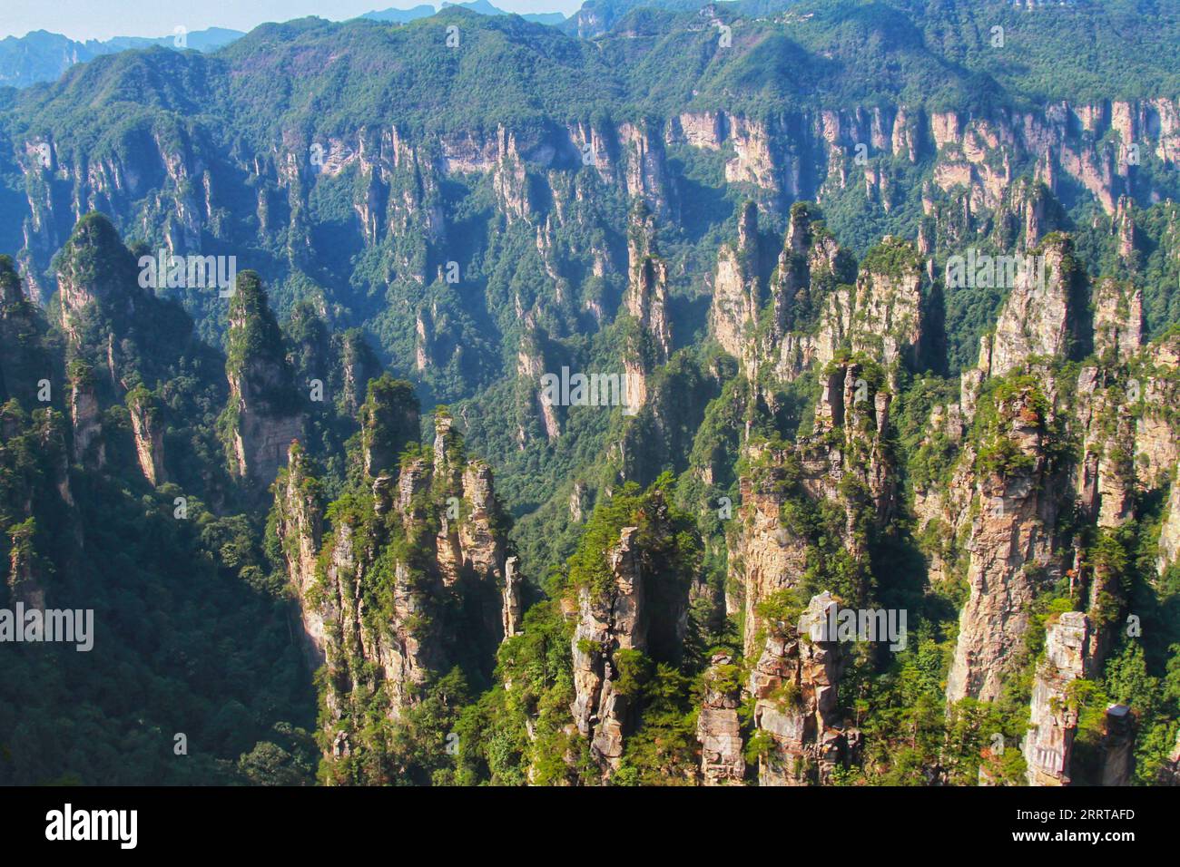 Halten Sie die atemberaubende Essenz von Chinas berühmten scharfen, hoch aufragenden Bergen fest, die an die beeindruckenden Landschaften aus dem Avatar-Film erinnern. Stockfoto