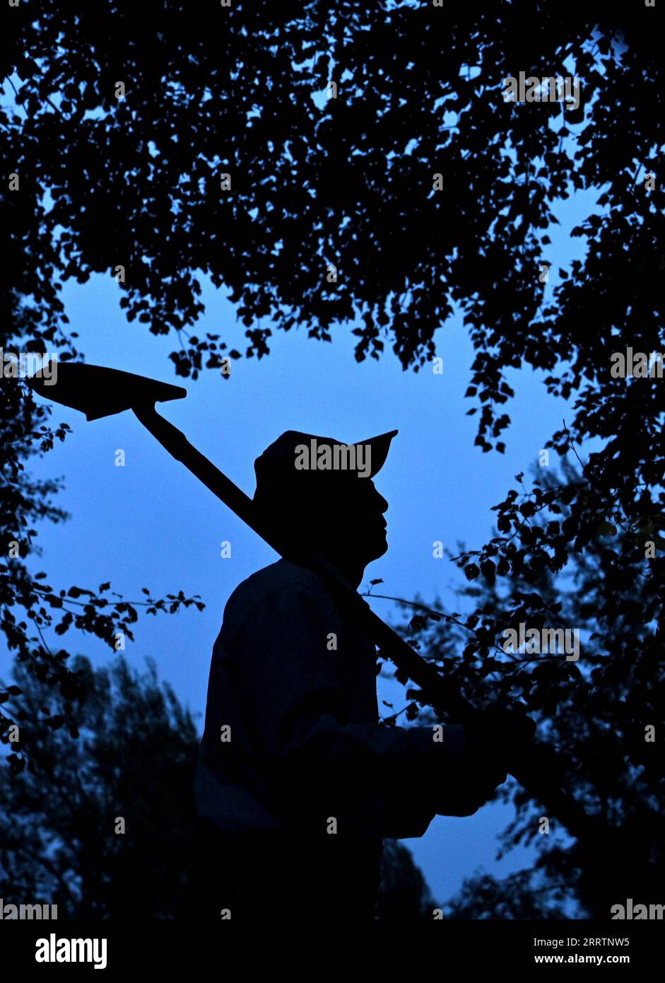 230803 -- TONGLIAO, 3. Aug. 2023 -- Bai Shun patrouilliert nach dem Abendessen in Bulteger Gacha, Horqin Linker Flügel Hinteres Banner der Stadt Tongliao, Nordchina Innere Mongolei Autonome Region, 2. Aug. 2023. Bulteger Gacha, ein kleines Dorf in Horqin im linken Flügel hinter dem Banner der Stadt Tongliao, befand sich im Zentrum des Horqin Sandy Landes und litt früher unter Wüstenbildung. Seit 2002 hat Bai Shun, ein ortsansässiger mongolischer Bauer, seine Familie dazu gebracht, sich in diesem Dorf zu verwurzeln und sich der Kontrolle der Wüstenbildung zu widmen. Die Überlebensrate der gepflanzten Bäume war zu Beginn aufgrund fehlender Erfahrung niedrig Stockfoto