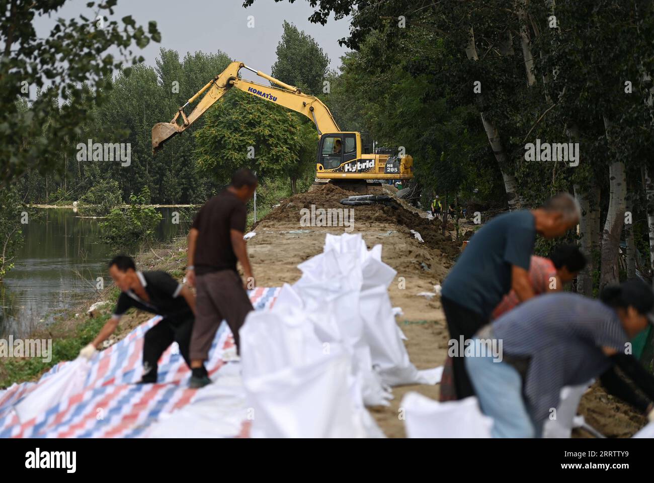 230810 -- TIANJIN, 10. August 2023 -- Ein Arbeiter betreibt eine Maschine zur Verstärkung eines Deichs im Bezirk Jinghai, nordchinesische Gemeinde Tianjin, 10. August 2023. Die lokalen Behörden haben die Hochwasserschutz- und Katastrophenschutzmaßnahmen im Taitou-Abschnitt des Flusses Daqinghe im Bezirk Jinghai der nordchinesischen Gemeinde Tianjin fortgesetzt und den Bezirk auf jeden Notfall vorbereitet. CHINA-TIANJIN-DAQINGHE-FLUTDEICHE CN ZHAOXZISHUO PUBLICATIONXNOTXINXCHN Stockfoto