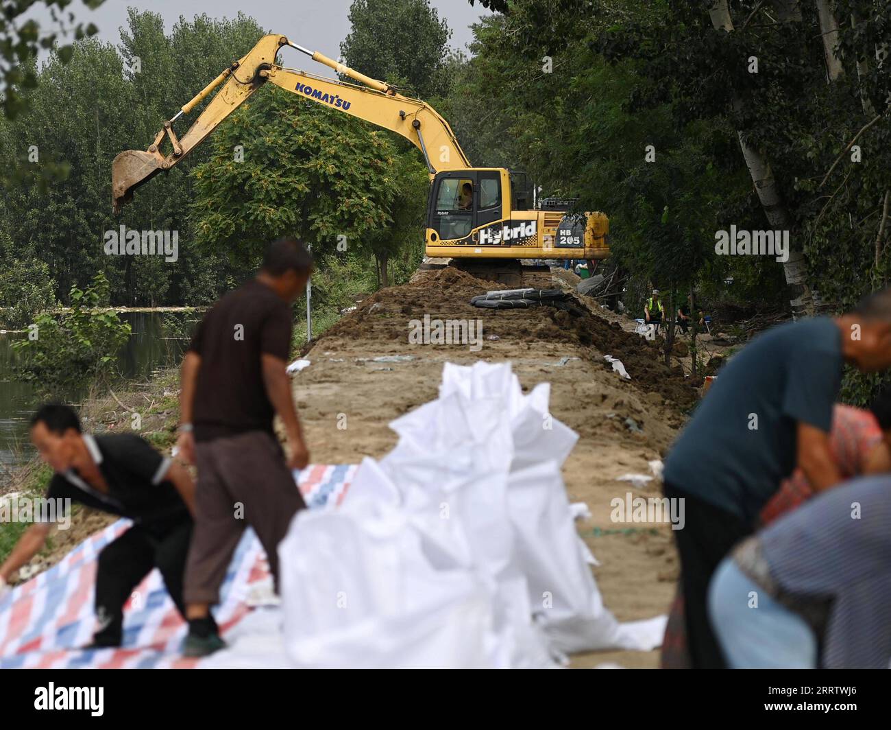 230810 -- TIANJIN, 10. August 2023 -- Ein Arbeiter betreibt eine Maschine zur Verstärkung eines Deichs im Bezirk Jinghai, nordchinesische Gemeinde Tianjin, 10. August 2023. Die lokalen Behörden haben die Hochwasserschutz- und Katastrophenschutzmaßnahmen im Taitou-Abschnitt des Flusses Daqinghe im Bezirk Jinghai der nordchinesischen Gemeinde Tianjin fortgesetzt und den Bezirk auf jeden Notfall vorbereitet. CHINA-TIANJIN-DAQINGHE-FLUTDEICHE CN ZHAOXZISHUO PUBLICATIONXNOTXINXCHN Stockfoto