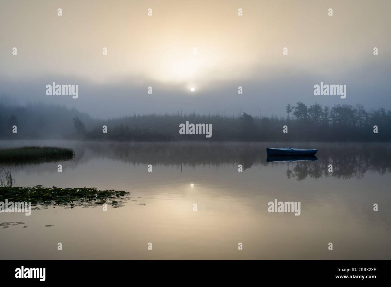 Loch Achy, Die Trossachs, Schottland Stockfoto