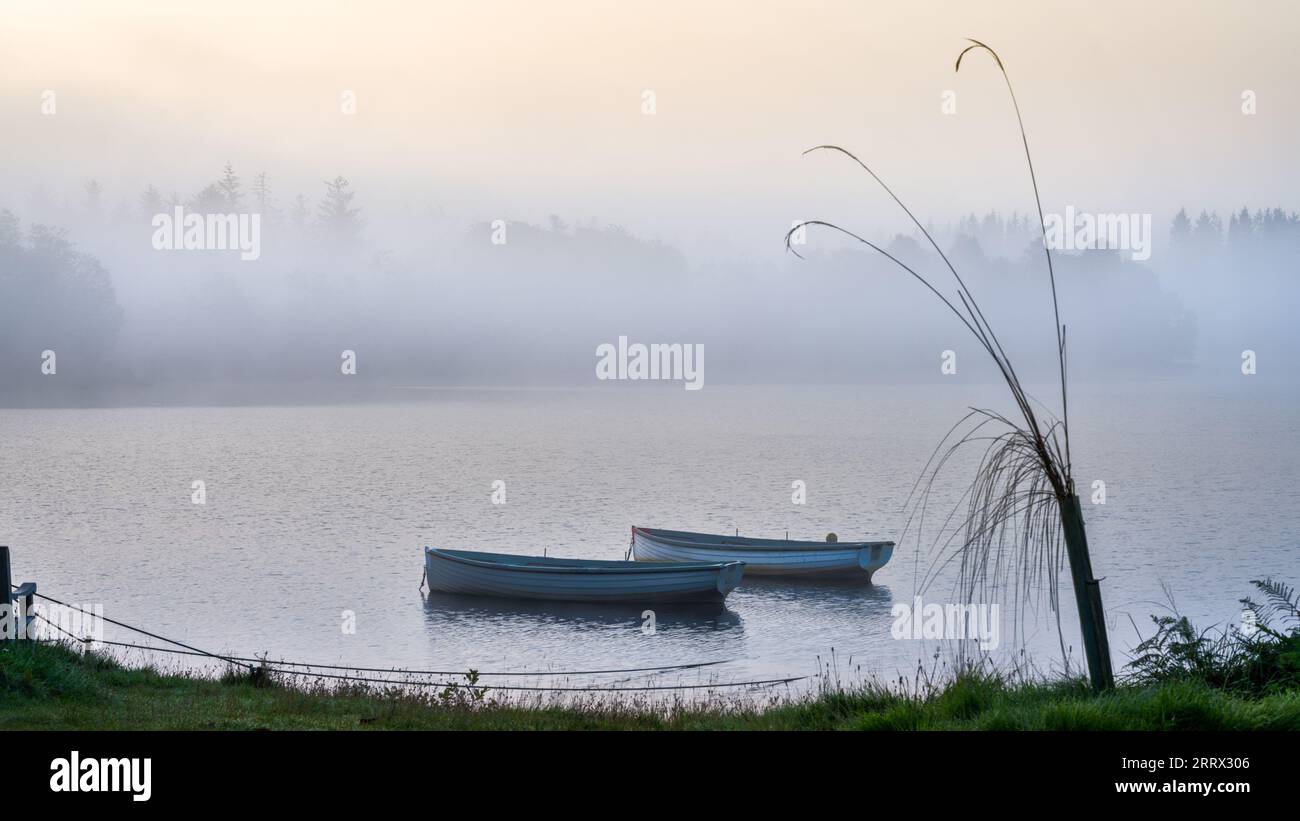 Loch Achy, Die Trossachs, Schottland Stockfoto