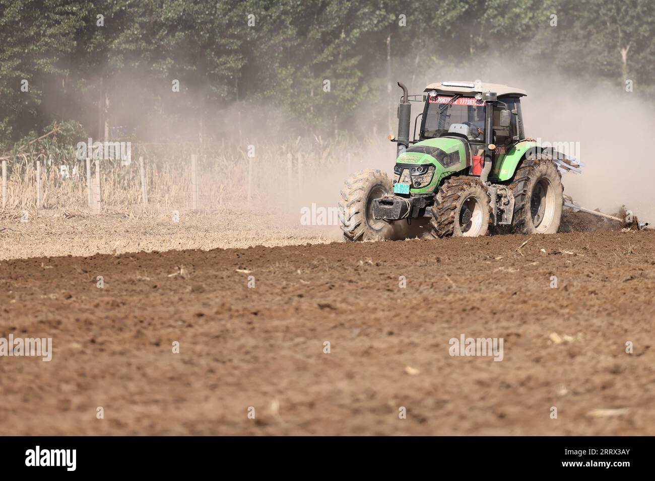 230818 -- ZHUOZHOU, 18. August 2023 -- Ein Landwirt arbeitet auf dem Feld mit landwirtschaftlichen Maschinen im Dorf Baimazhuang der Gemeinde Douzhuang, Stadt Zhuozhou, nordchinesische Provinz Hebei, 18. August 2023. Die Stadt Zhuozhou hat nach den jüngsten Überschwemmungen mit der Reparatur der landwirtschaftlichen Infrastruktur und der Rettung von Ernten begonnen. Die lokale Regierung verstärkte die fachliche Beratung, um den Landwirten zu helfen, Verluste zu minimieren. CHINA-HEBEI-ZHUOZHOU-FLUTLANDWIRTSCHAFT CN LUOXXUEFENG PUBLICATIONXNOTXINXCHN Stockfoto