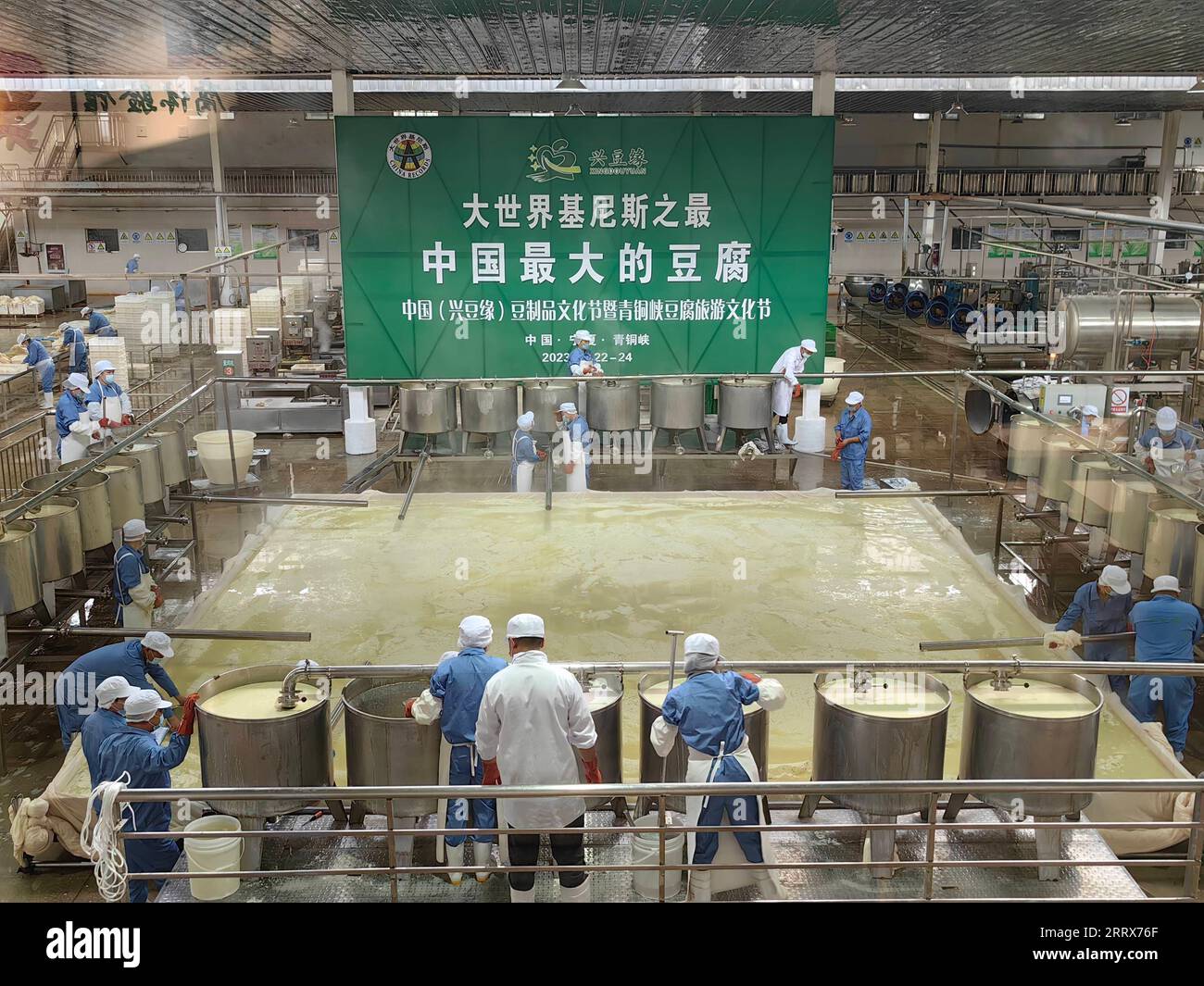 230824 -- YINCHUAN, 24. August 2023 -- Menschen machen Tofu während des Tofu Kultur Tourismus Festivals in der Stadt Qingtongxia, NORDWESTCHINA Ningxia Hui Autonomous Region, 23. August 2023. MIT chinesischer Firma ZU GEHEN bricht nationalen Rekord mit größtem Stück Tofu CHINA-NINGXIA-GRÖSSTES STÜCK TOFU CN Xinhua PUBLICATIONxNOTxINxCHN Stockfoto