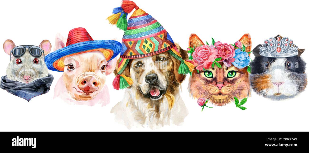 Haustiere an der Grenze. Handbemalte Aquarellzeichnung, isolieren Sie ClipArt auf weißem Hintergrund. Bannerdesign Stockfoto