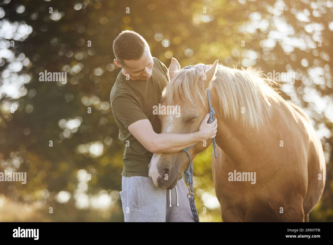 Der Mensch nimmt das therapiehafte Pferd auf. Themen Hippotherapie, Pflege und Freundschaft zwischen Mensch und Tier. Stockfoto