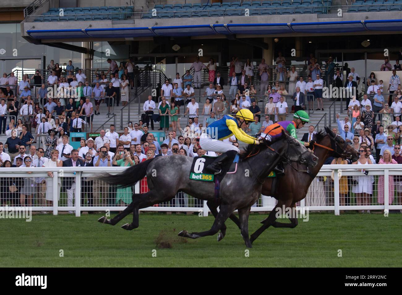 Ascot, Berkshire, Vereinigtes Königreich. September 2023. Das Pferd Quinault, das von Jockey Luke Catton geritten wird, gewinnt die Bet365 Handicap Stakes auf der Ascot Racecourse am September Racing Saturday. Dies war der erste Gewinner für Luke Catton. Besitzer TJE Racing. Trainer Stuart Williams, Newmarket. Quelle: Maureen McLean/Alamy Live News Stockfoto