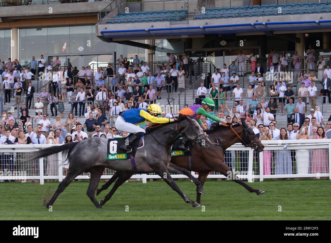 Ascot, Berkshire, Vereinigtes Königreich. September 2023. Das Pferd Quinault, das von Jockey Luke Catton geritten wird, gewinnt die Bet365 Handicap Stakes auf der Ascot Racecourse am September Racing Saturday. Dies war der erste Gewinner für Luke Catton. Besitzer TJE Racing. Trainer Stuart Williams, Newmarket. Quelle: Maureen McLean/Alamy Live News Stockfoto