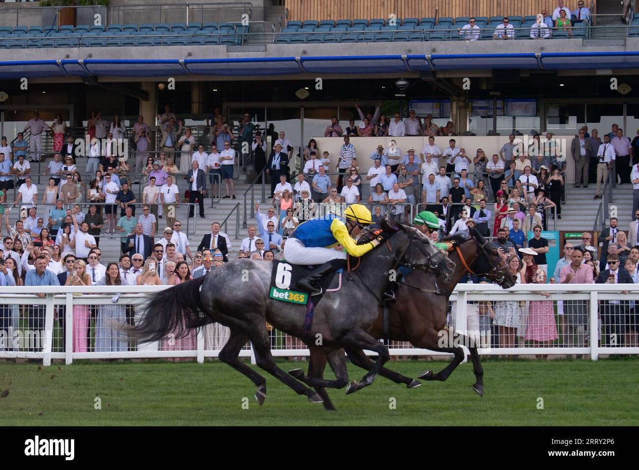 Ascot, Berkshire, Vereinigtes Königreich. September 2023. Das Pferd Quinault, das von Jockey Luke Catton geritten wird, gewinnt die Bet365 Handicap Stakes auf der Ascot Racecourse am September Racing Saturday. Dies war der erste Gewinner für Luke Catton. Besitzer TJE Racing. Trainer Stuart Williams, Newmarket. Quelle: Maureen McLean/Alamy Live News Stockfoto