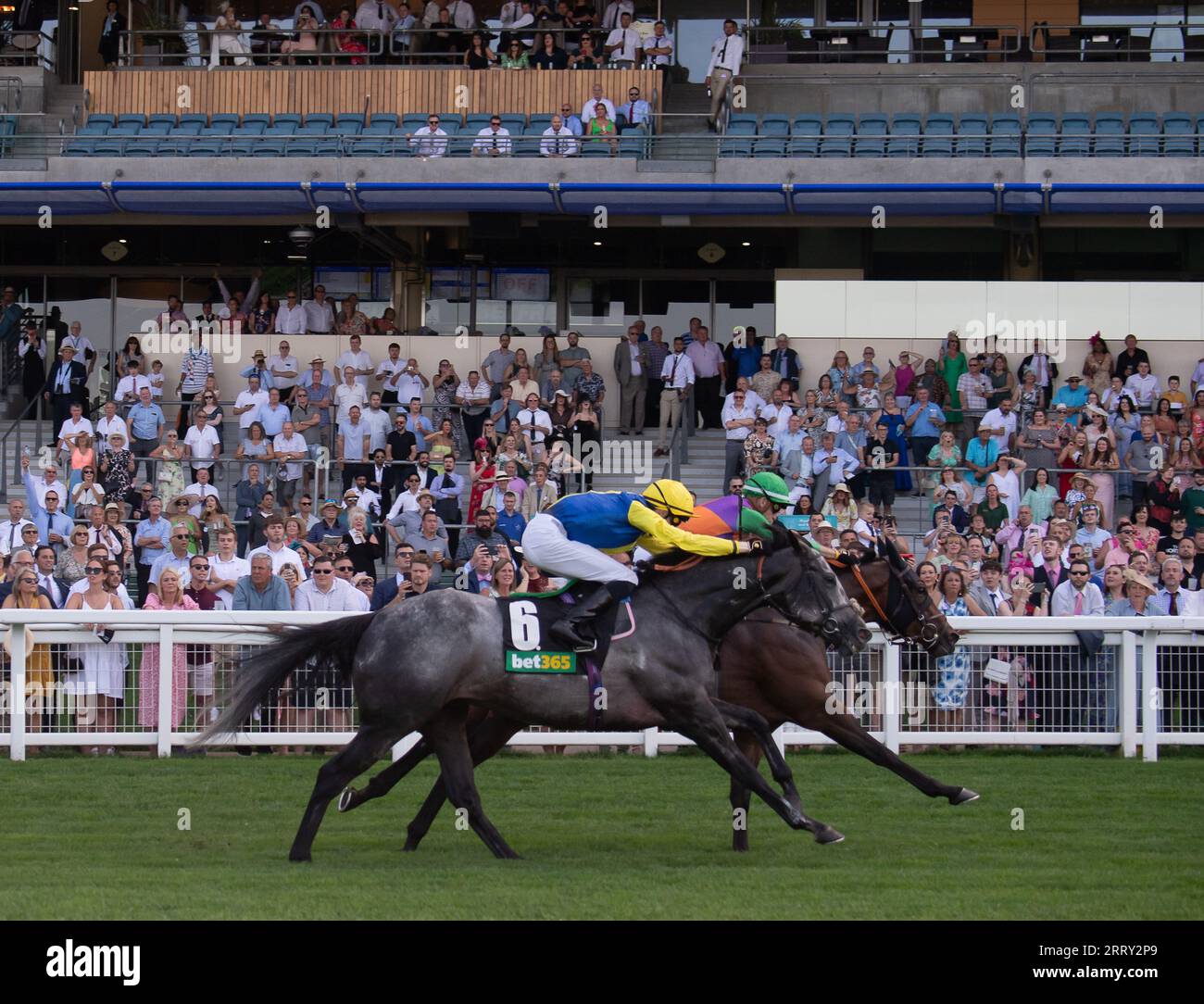Ascot, Berkshire, Vereinigtes Königreich. September 2023. Das Pferd Quinault, das von Jockey Luke Catton geritten wird, gewinnt die Bet365 Handicap Stakes auf der Ascot Racecourse am September Racing Saturday. Dies war der erste Gewinner für Luke Catton. Besitzer TJE Racing. Trainer Stuart Williams, Newmarket. Quelle: Maureen McLean/Alamy Live News Stockfoto