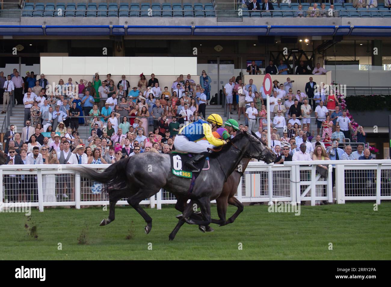 Ascot, Berkshire, Vereinigtes Königreich. September 2023. Das Pferd Quinault, das von Jockey Luke Catton geritten wird, gewinnt die Bet365 Handicap Stakes auf der Ascot Racecourse am September Racing Saturday. Dies war der erste Gewinner für Luke Catton. Besitzer TJE Racing. Trainer Stuart Williams, Newmarket. Quelle: Maureen McLean/Alamy Live News Stockfoto
