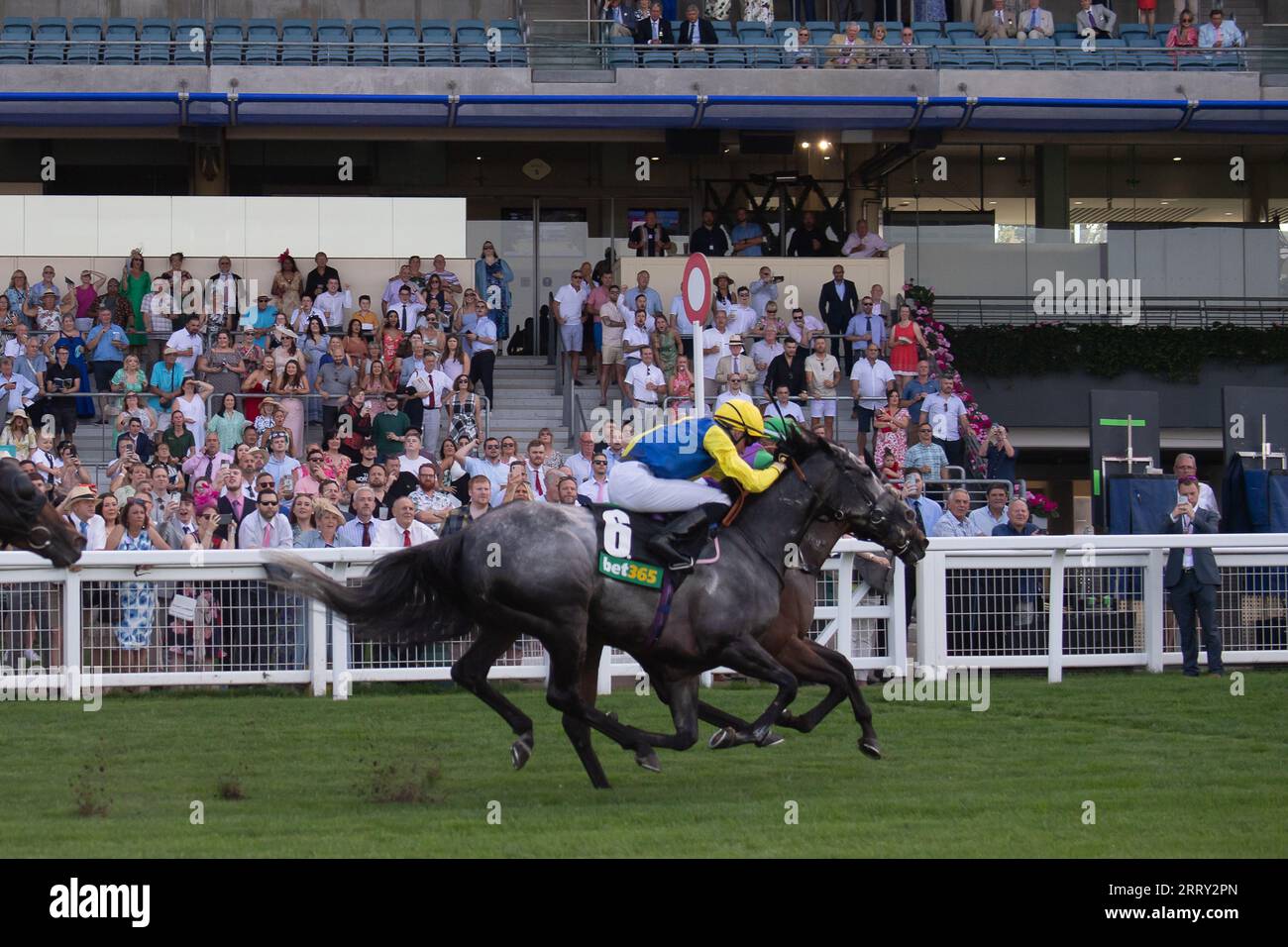 Ascot, Berkshire, Vereinigtes Königreich. September 2023. Das Pferd Quinault, das von Jockey Luke Catton geritten wird, gewinnt die Bet365 Handicap Stakes auf der Ascot Racecourse am September Racing Saturday. Dies war der erste Gewinner für Luke Catton. Besitzer TJE Racing. Trainer Stuart Williams, Newmarket. Quelle: Maureen McLean/Alamy Live News Stockfoto