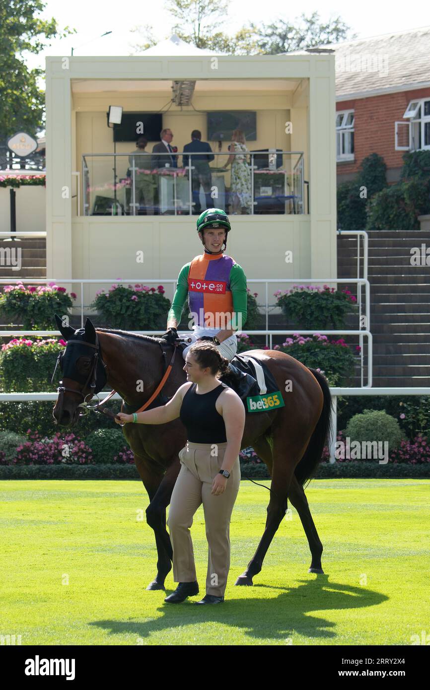 Ascot, Berkshire, Vereinigtes Königreich. September 2023. Das Pferd Quinault, das von Jockey Luke Catton geritten wird, gewinnt die Bet365 Handicap Stakes auf der Ascot Racecourse am September Racing Saturday. Dies war der erste Gewinner für Luke Catton. Besitzer TJE Racing. Trainer Stuart Williams, Newmarket. Quelle: Maureen McLean/Alamy Live News Stockfoto