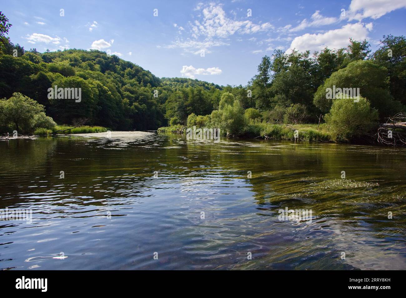 Fluss Dyje - Thaya im Nationalpark Podyj - Thayatal an der Grenze von Tschechien und Österreich Stockfoto