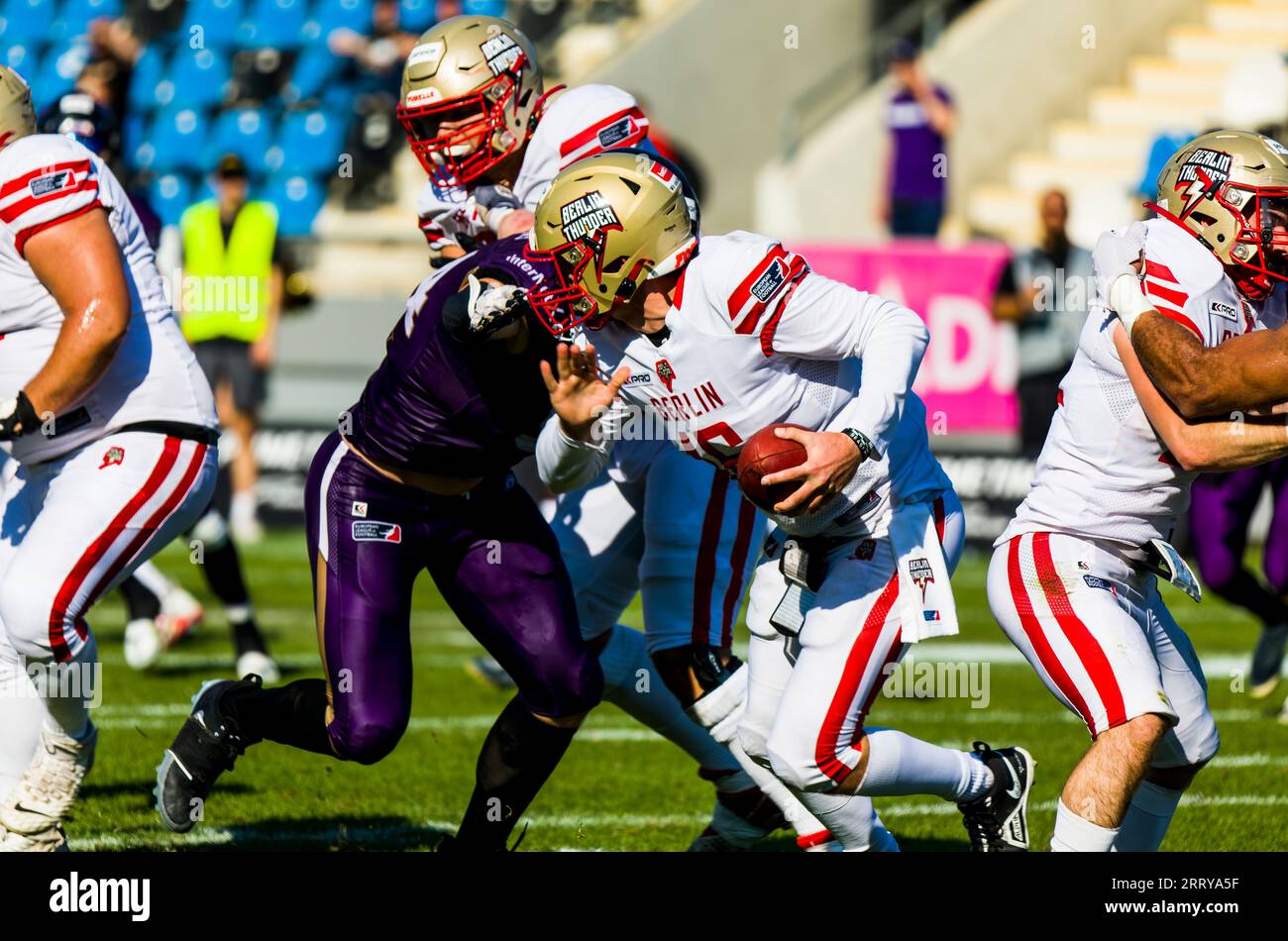 Frankfurt, Deutschland. September 2023. ELF/Playoff Game : Berlin Thunder in Frankfurt Galaxy am 09. September 2023, in der PSD Bank Arena, Frankfurt am Main, Deutschland, QB # 16 Slade Jarman/Berlin Thunder Credit: Frank Baumert/Alamy Live News Stockfoto