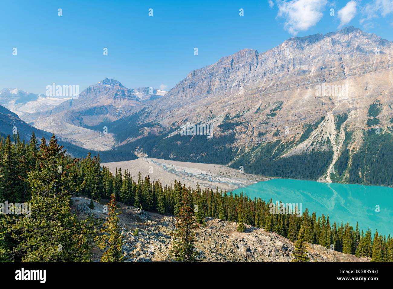 Türkisfarbener Peyto Lake und Peyto Glacier ganz links, Banff National Park, Kanada. Stockfoto
