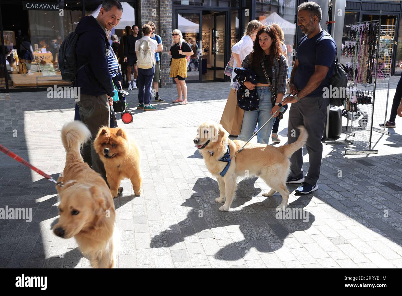 Kings Cross Dog Show mit Hundeständen im Coal Drops Yard im Norden Londons, Großbritannien Stockfoto