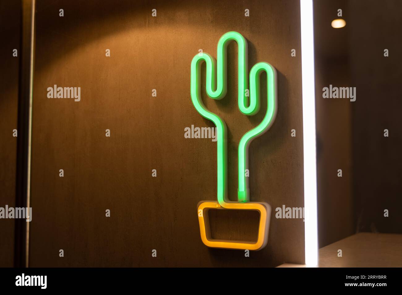 Neon Blau Kaktus LED Lampe in weibliche Hnde auf schwarzem Hintergrund  Stockfotografie - Alamy