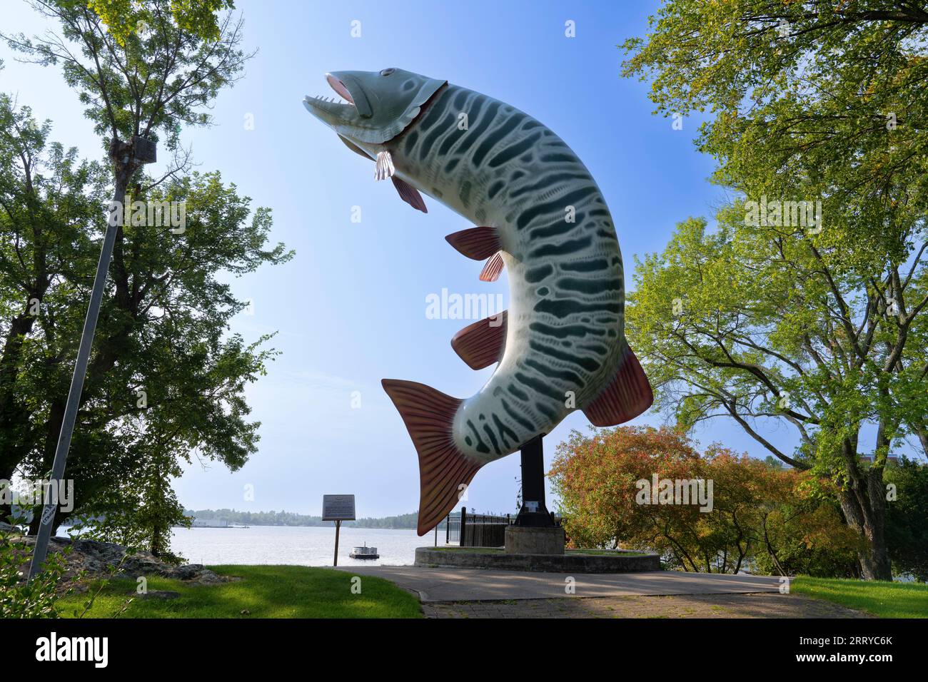 Mit einer Körpergröße von 40 Metern ist Huskie The Muskie eine Skulptur eines Muskellunge im McLeod Park in Kenora, Ontario. Angeln ist eine beliebte Aktivität in der AR Stockfoto