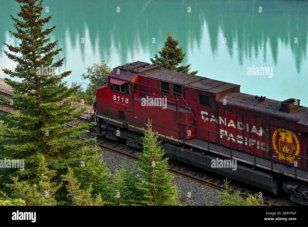 Canadian Pacific Locomotive durch den Banff National Park, Alberta, Kanada Stockfoto