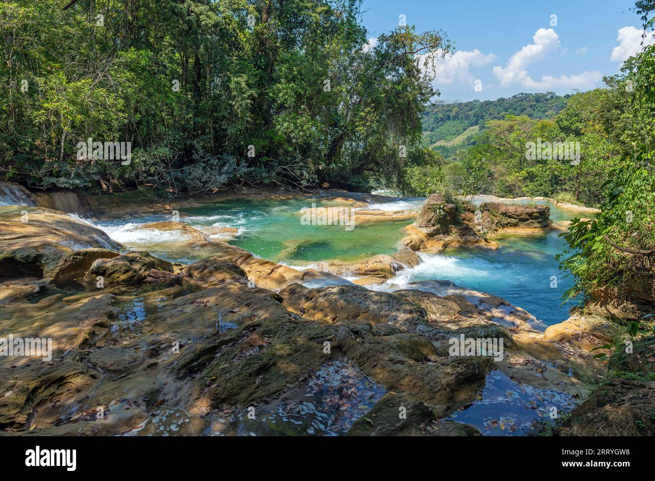 Agua Azul fällt mit tropischem Regenwald und türkisfarbenem Wasser in der Nähe von Palenque, Chiapas, Mexiko. Stockfoto