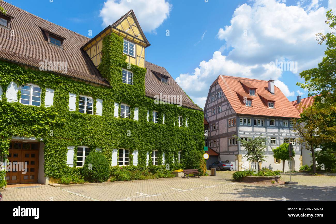 Mit Kletterpflanzen bewachsenes Haus in der deutschen Stadt, Europa. Landschaft der grünen Gebäudemauer an der Stadtstraße im Sommer. Thema Landschaftsgestaltung, Natur, ec Stockfoto