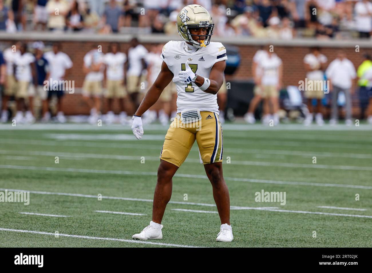 Atlanta, Georgia. September 2023. Georgia Tech's Chase Lane (7) in Aktion während des NCAA-Fußballspiels mit den Georgia Tech Yellow Jackets und den South Carolina State Bulldogs, gespielt im Bobby Dodd Stadium auf dem Campus der Georgia Tech in Atlanta, Georgia. Cecil Copeland/CSM/Alamy Live News Stockfoto