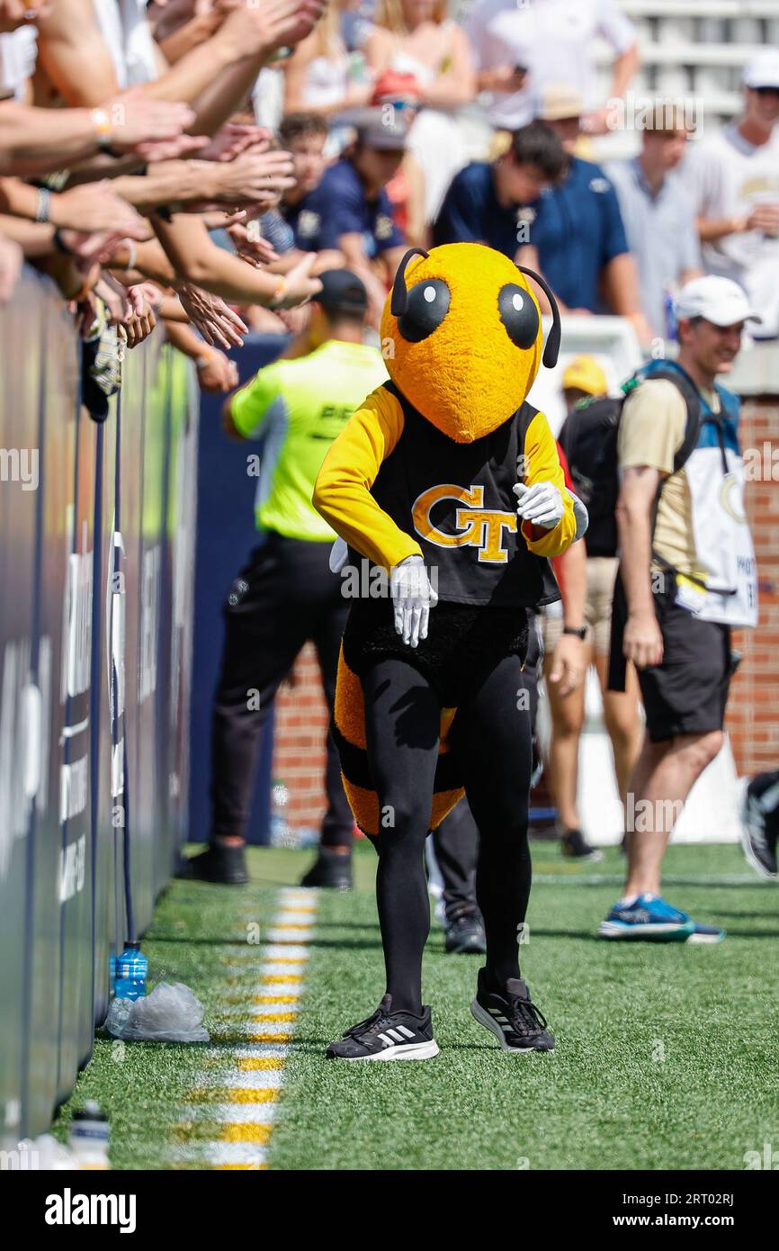 Atlanta, Georgia. September 2023. Das Georgia Tech Maskottchen Buzz interagiert mit den Fans während des NCAA-Fußballspiels mit den Georgia Tech Yellow Jackets und den South Carolina State Bulldogs, das im Bobby Dodd Stadium auf dem Campus der Georgia Tech in Atlanta, Georgia, gespielt wird. Cecil Copeland/CSM/Alamy Live News Stockfoto