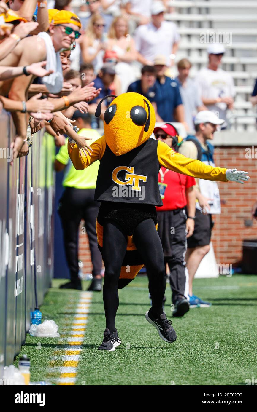Atlanta, Georgia. September 2023. Das Georgia Tech Maskottchen Buzz interagiert mit den Fans während des NCAA-Fußballspiels mit den Georgia Tech Yellow Jackets und den South Carolina State Bulldogs, das im Bobby Dodd Stadium auf dem Campus der Georgia Tech in Atlanta, Georgia, gespielt wird. Cecil Copeland/CSM/Alamy Live News Stockfoto