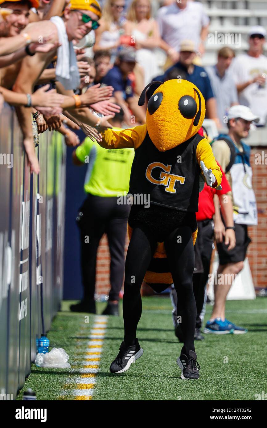 Atlanta, Georgia. September 2023. Das Georgia Tech Maskottchen Buzz interagiert mit den Fans während des NCAA-Fußballspiels mit den Georgia Tech Yellow Jackets und den South Carolina State Bulldogs, das im Bobby Dodd Stadium auf dem Campus der Georgia Tech in Atlanta, Georgia, gespielt wird. Cecil Copeland/CSM/Alamy Live News Stockfoto