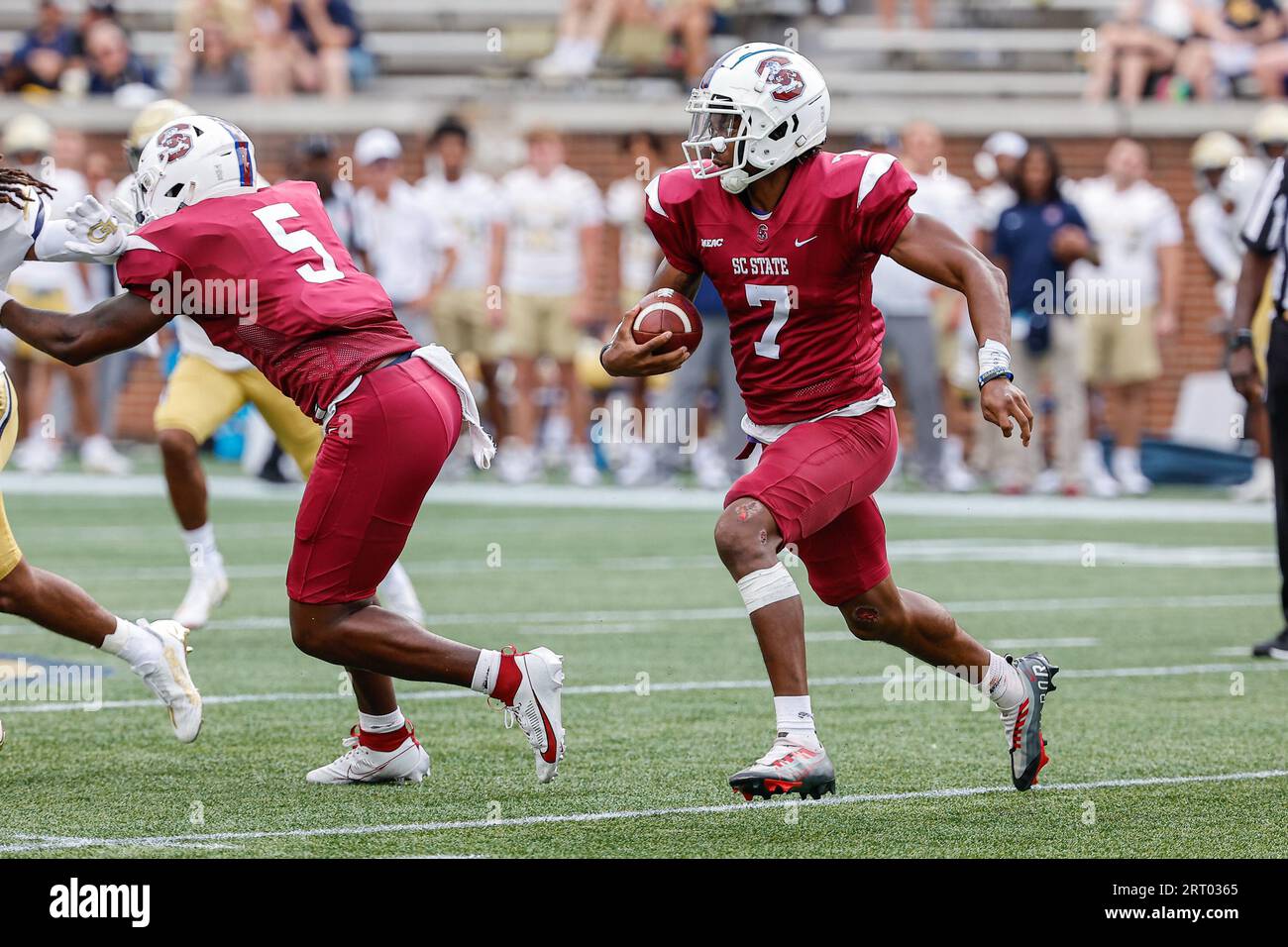 Atlanta, Georgia. September 2023. Andre Washington (7) aus dem Bundesstaat South Carolina läuft während des NCAA-Fußballspiels mit den Georgia Tech Yellow Jackets und den South Carolina State Bulldogs, das im Bobby Dodd Stadium auf dem Campus der Georgia Tech in Atlanta, Georgia, ausgetragen wird. Cecil Copeland/CSM/Alamy Live News Stockfoto