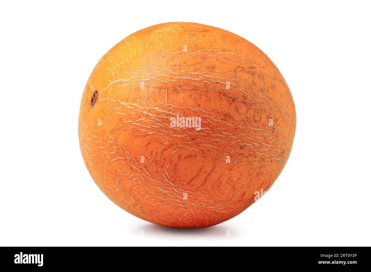 Runde reife Melonencloseup isoliert auf weißem Hintergrund Stockfoto