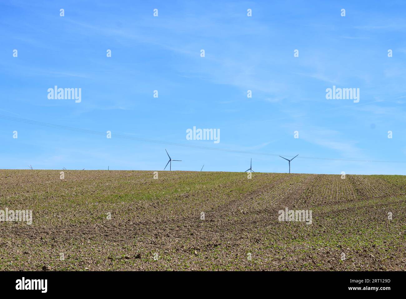 Windkraftwerke hinter einem Feld Stockfoto