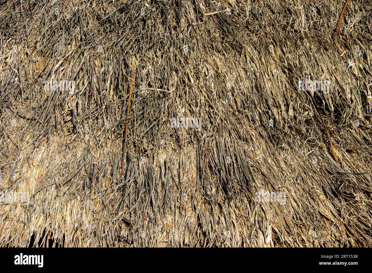 Ein Detail des Strohdaches eines Dorfhauses Stockfoto