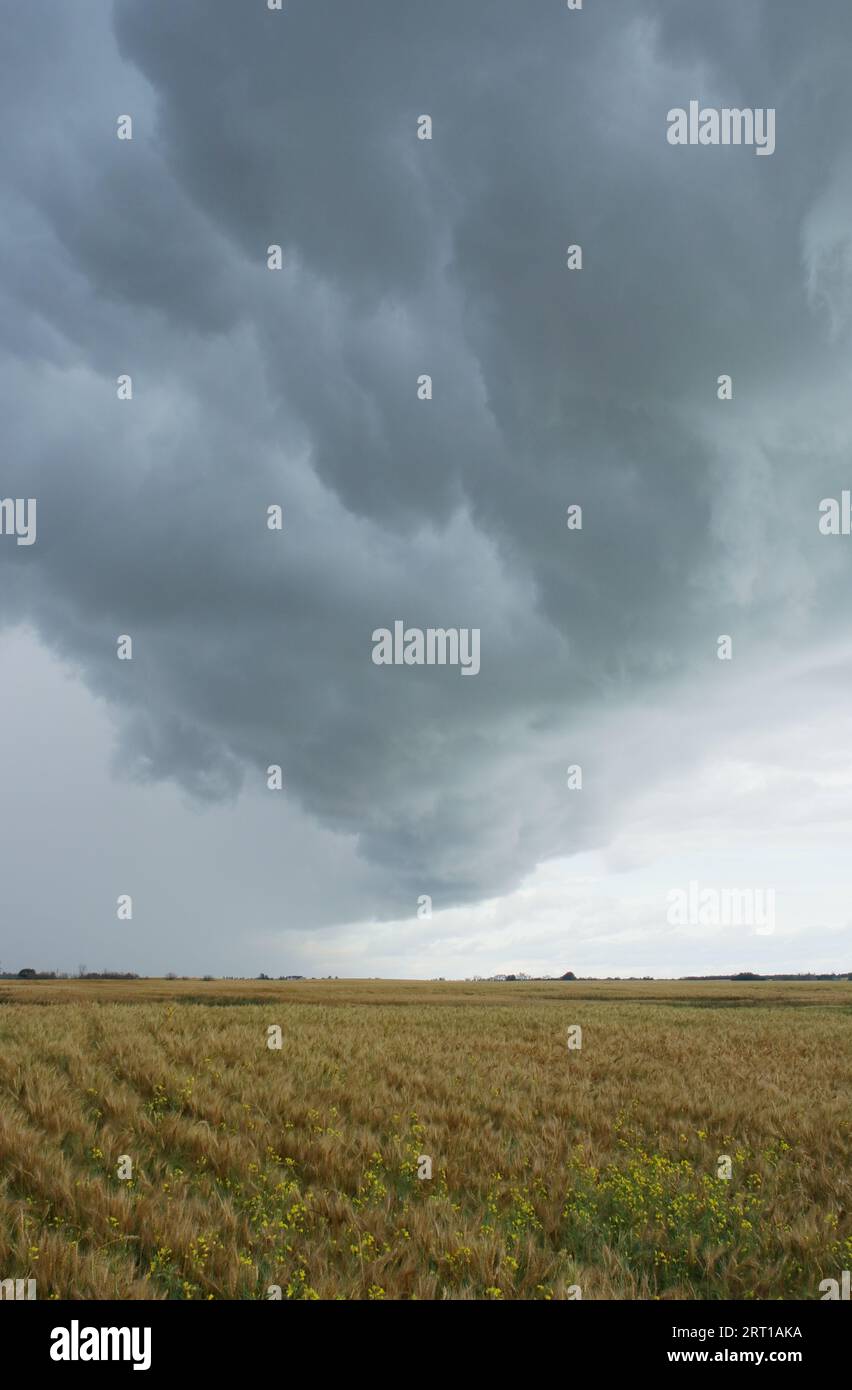 Unwetter-Sturmsystem in Alberta, Kanada. Stockfoto